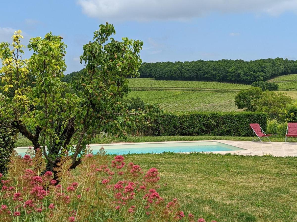 Maison Spacieuse Avec Piscine Chauffee, Jardin Clos, Terrasses, Cheminee, Et Equipements Bebe Inclus. - Fr-1-653-183 Villa Pereuil Exterior photo